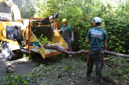 tree services Solvang